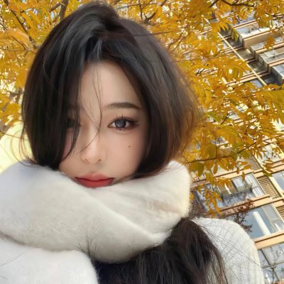 国家反抗者弗里茨·鲍尔